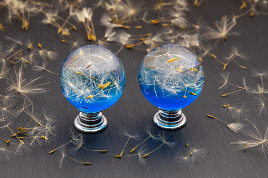 Close up of blue resin cabinet knob with real preserved dandelion seeds