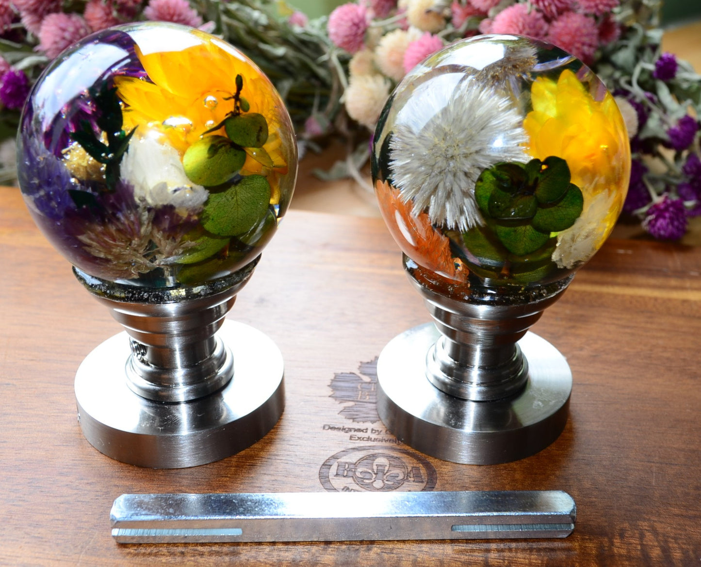 Set of 8 Internal Door Handles with real flowers/seeds and plants