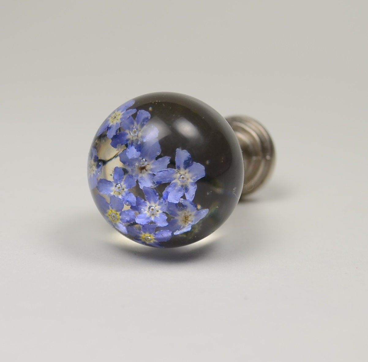 Cabinet Knobs , Forget me not Real flower , Kitchen Cupboard Handles , Dresser Knobs , Knobs for Cabinets