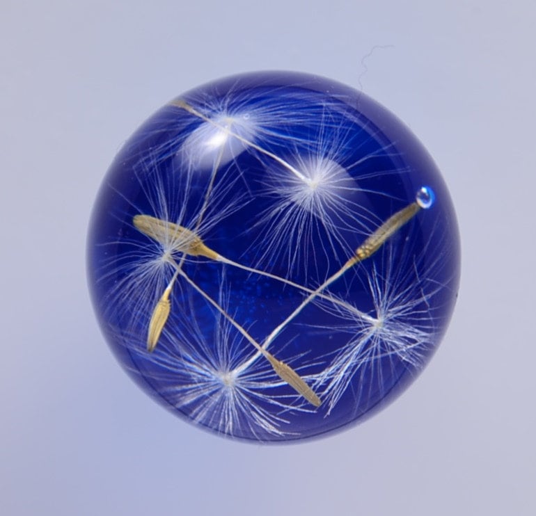 Real Dandelion Seeds Drawer Dresser Furniture Knobs Handmade Gift Blue Knobs