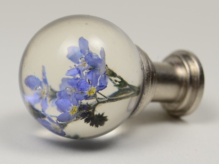 Cabinet Knobs , Forget me not Real flower , Kitchen Cupboard Handles , Dresser Knobs , Knobs for Cabinets