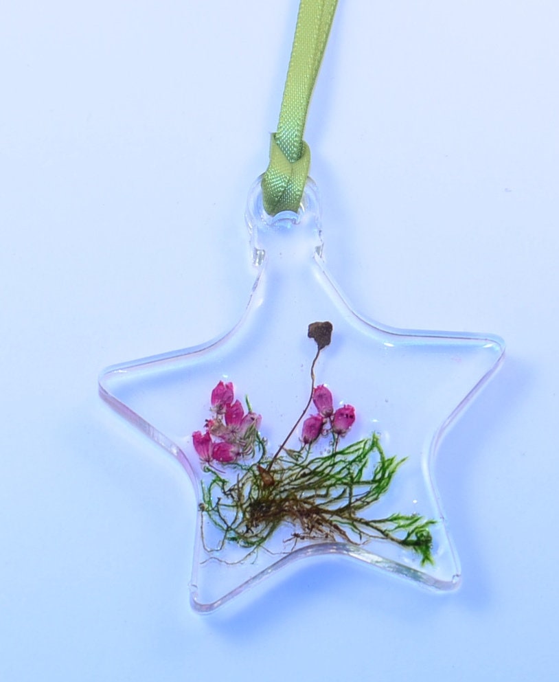 Set of 3 Christmas ornaments , Handmade Christmas Decoration with real plants