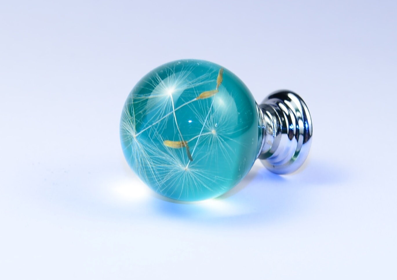 Set of 7 Real Dandelion Seeds Drawer Knobs , Dresser Furniture Knobs , Handmade Gift Knobs