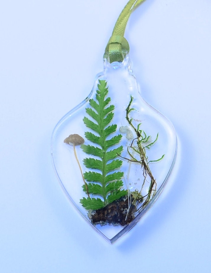 Set of 3 Christmas ornaments , Handmade Christmas Decoration with real plants