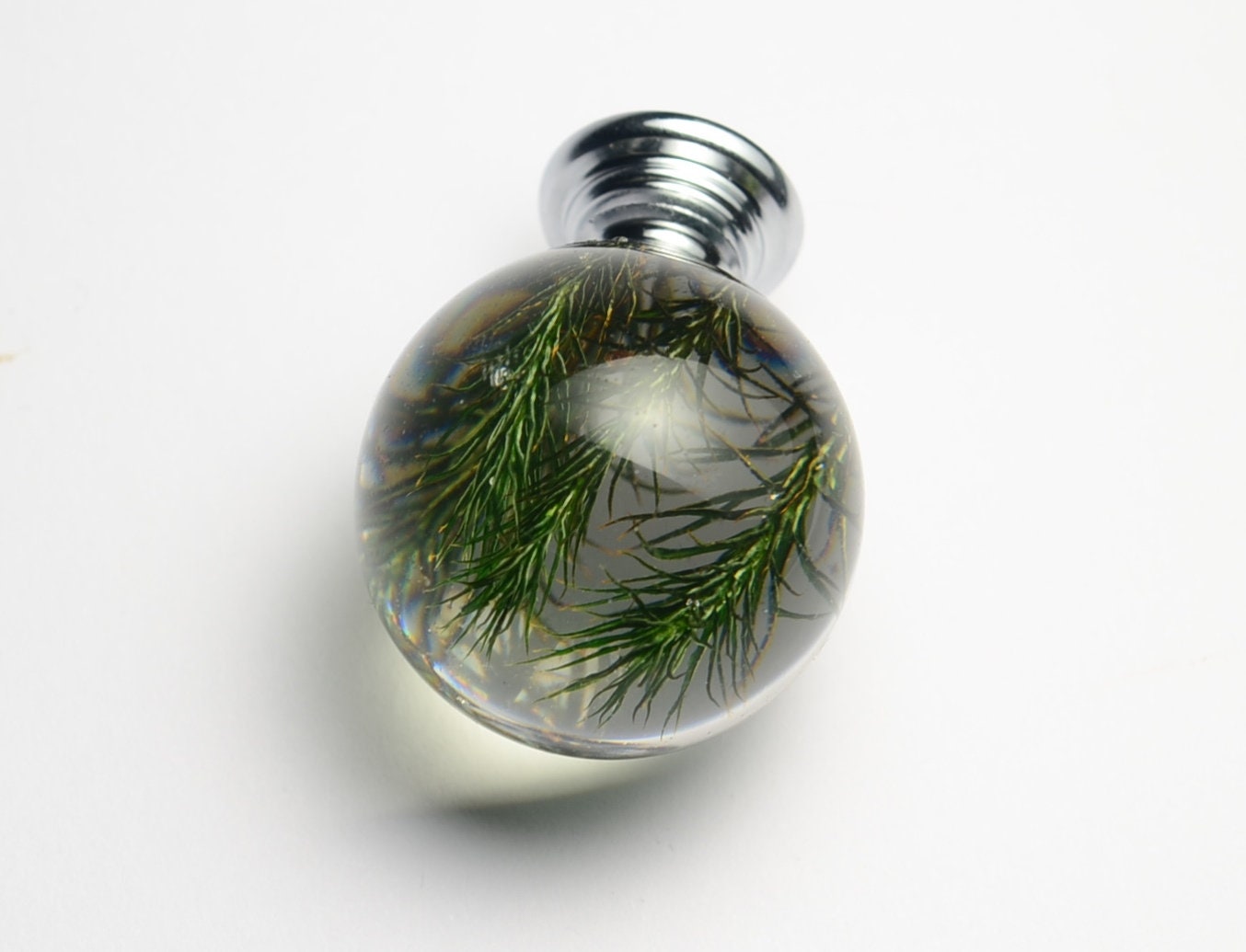 Green Real Moss Cabinet Knob, Unique home decor knobs, green forest drawer pulls