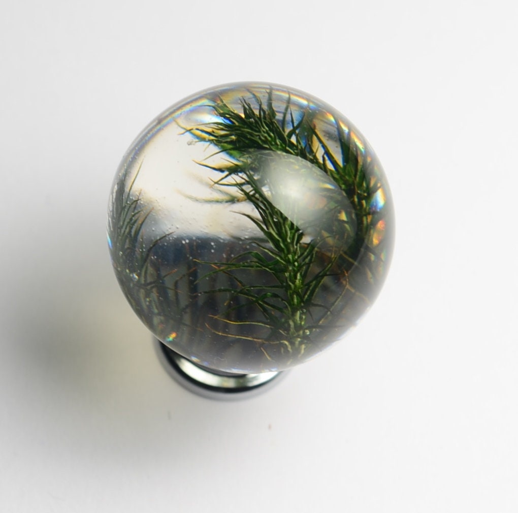 Green Real Moss Cabinet Knob, Unique home decor knobs, green forest drawer pulls