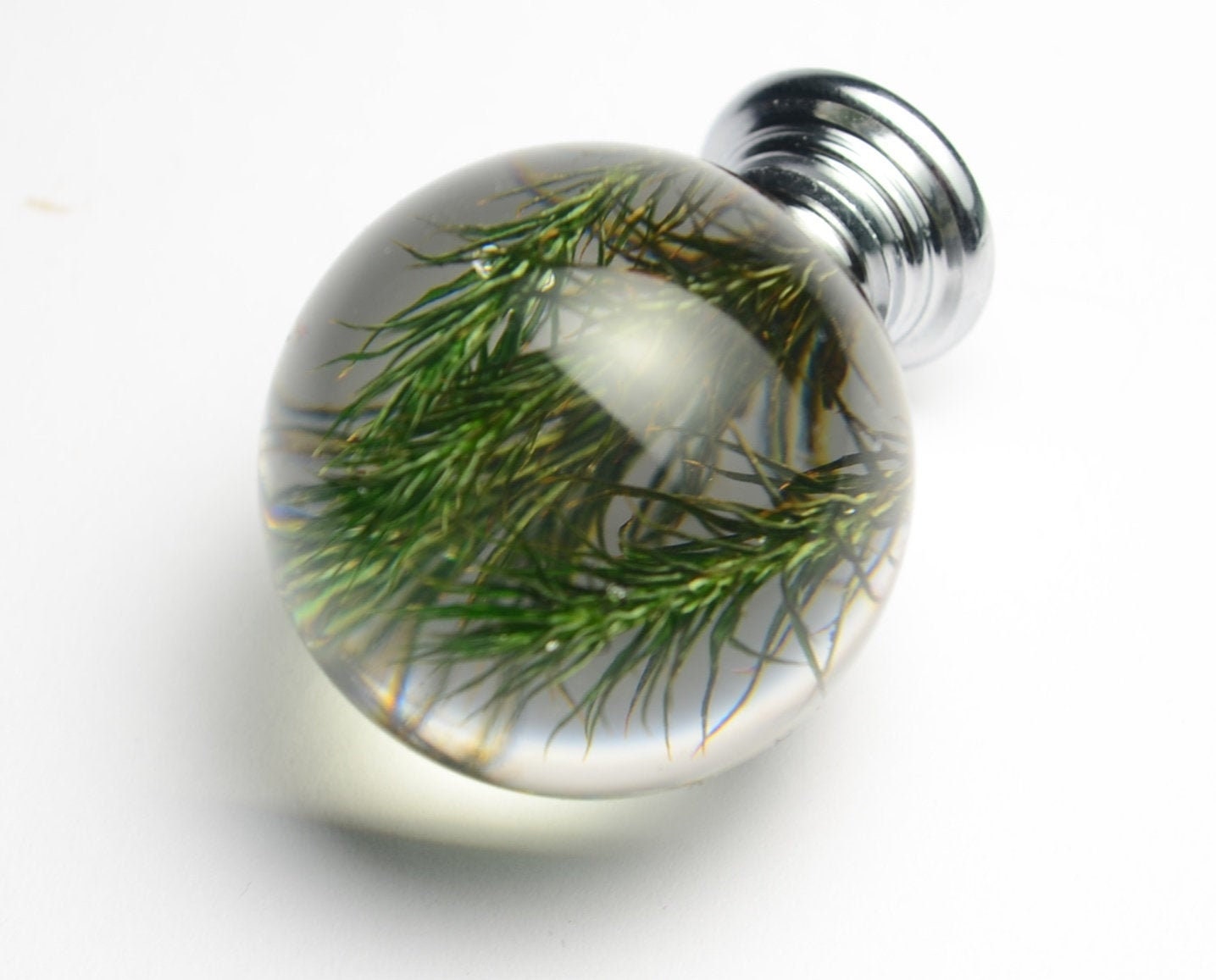 Green Real Moss Cabinet Knob, Unique home decor knobs, green forest drawer pulls