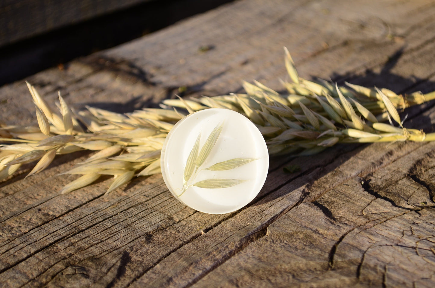 Big rounded Green Oats Kitchen Knobs, Green drawer knobs, Summer vibes with plants,