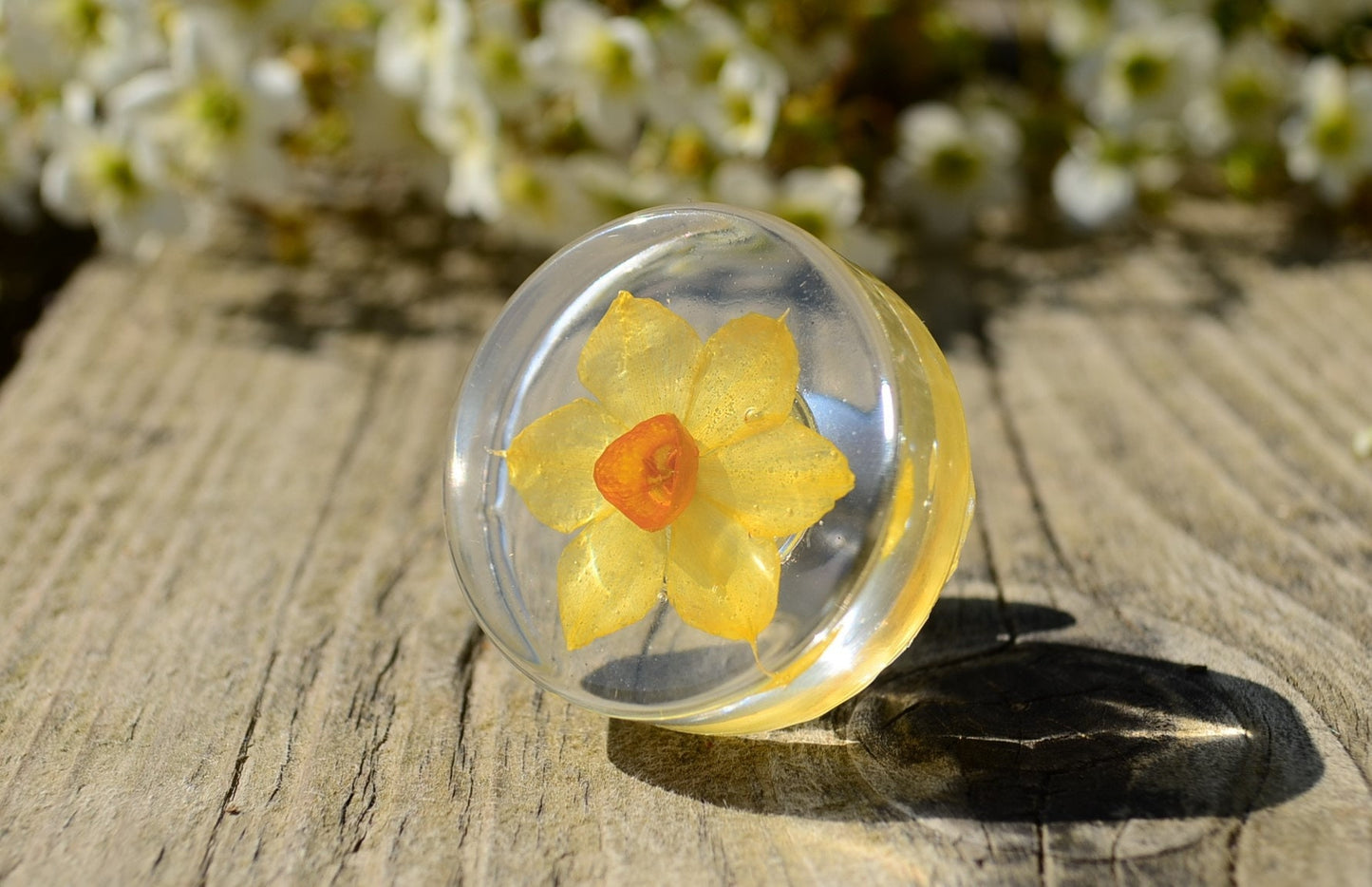 Real yellow daffodil cabinet knobs pulls , Decorative kitchen knobs, yellow hardware