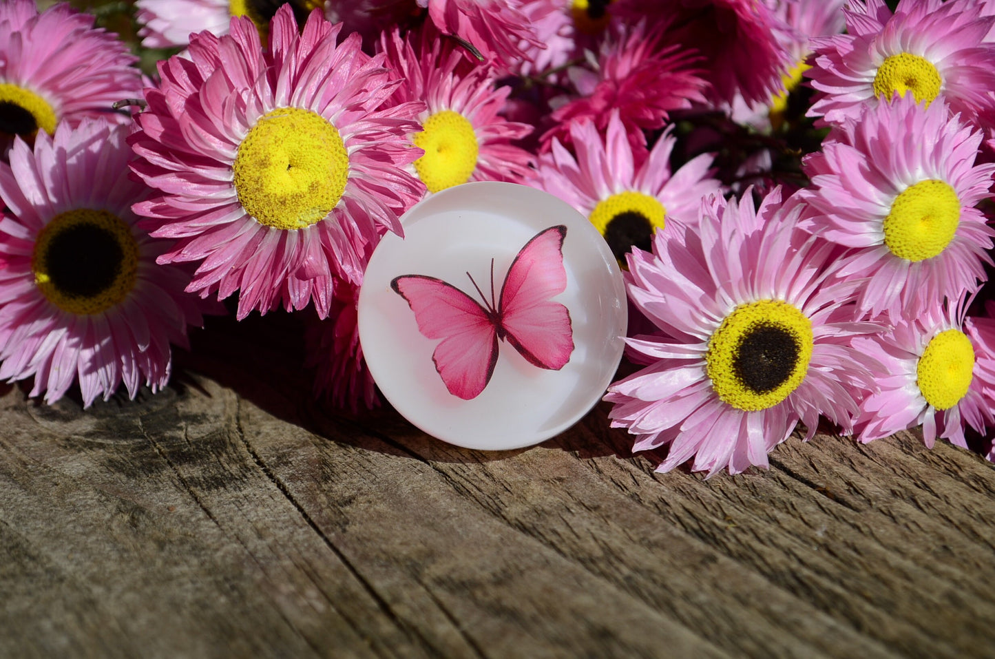 Red butterfly 3D cabinet knobs , handmade perfect gift for her, cabinet pulls