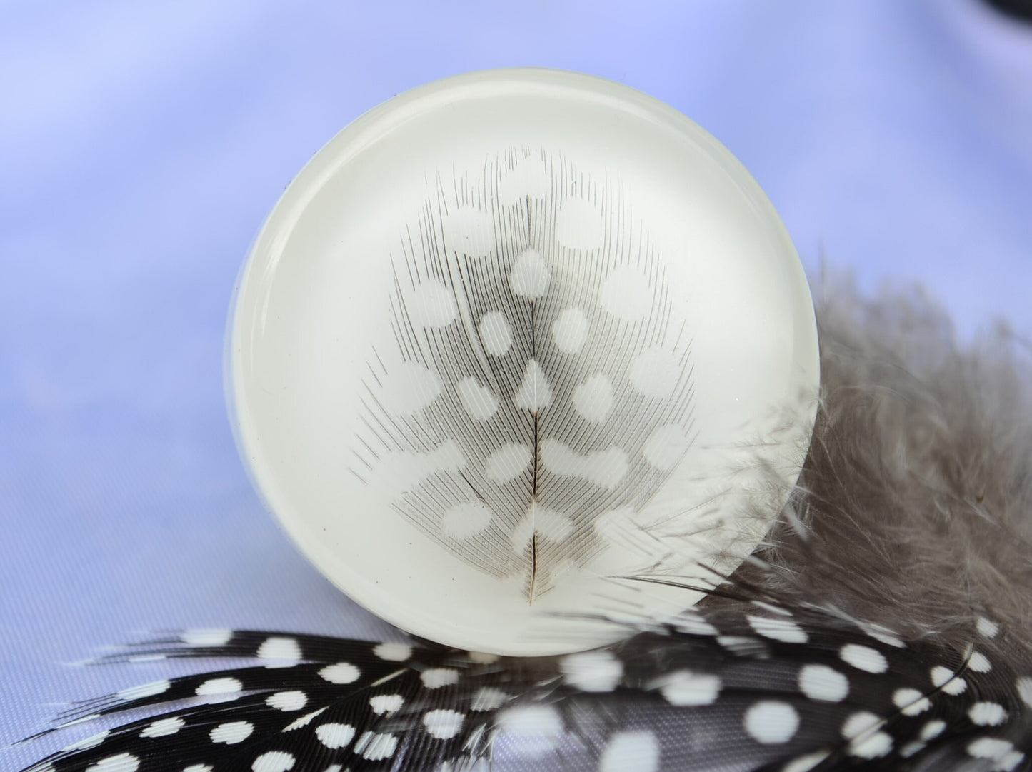 Very delicate feather black and white cabinet knob, Special gift for her,