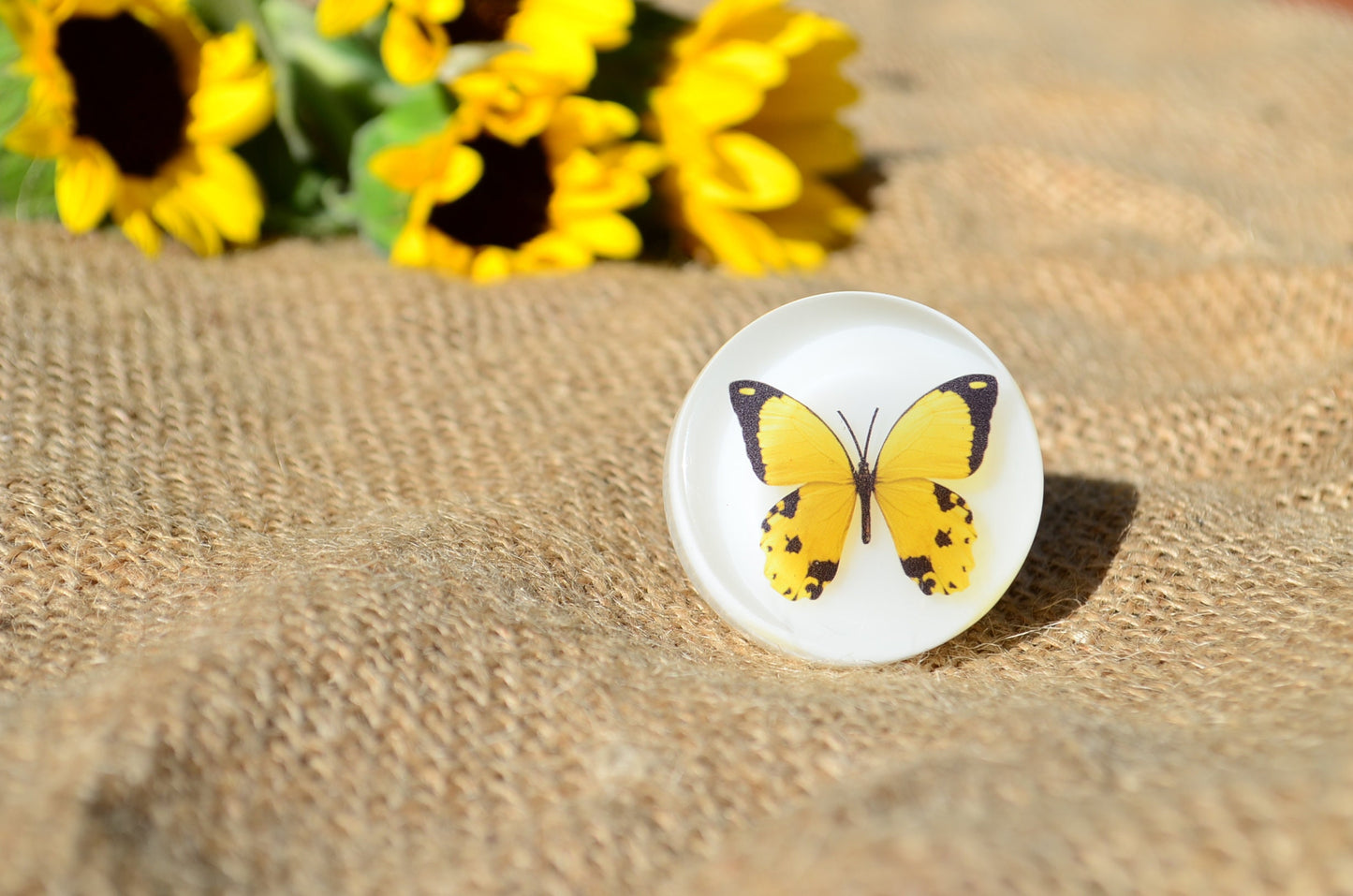Home Decor, Drawer Knobs Butterfly , Yellow knobs and pulls,