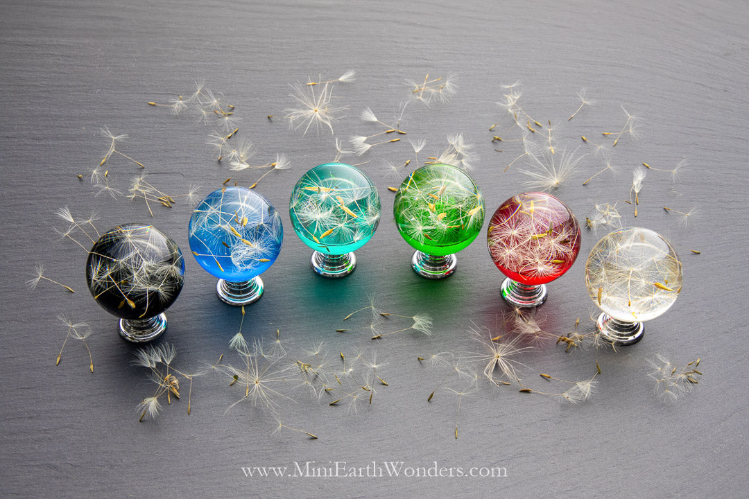 Dandelion Resin Cabinet Knobs & Handles