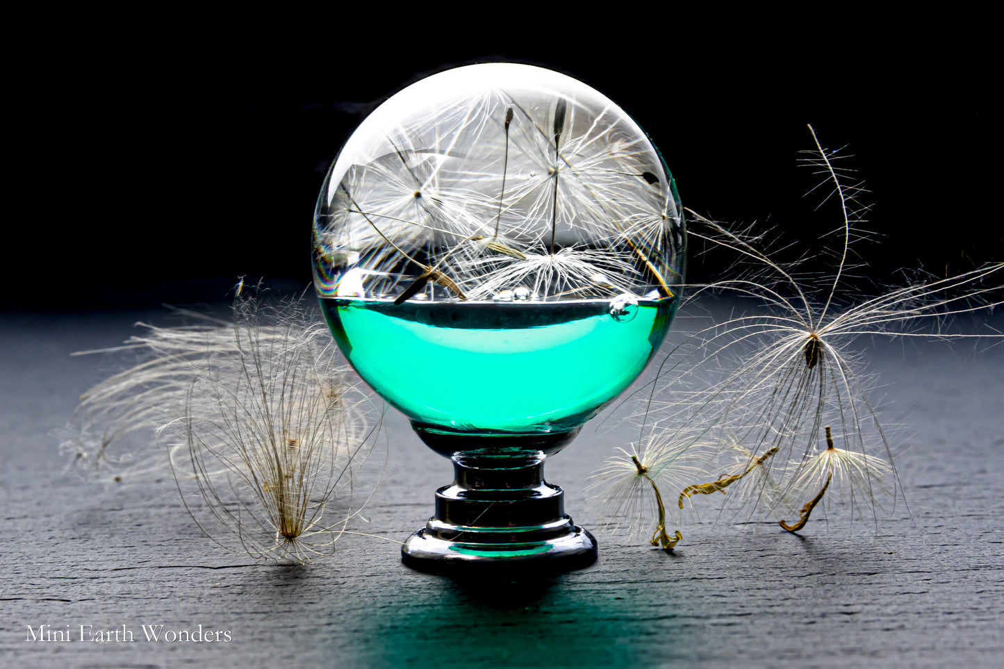 Turquoise Dandelion Resin Cabinet Knob – Botanical Drawer Handle (Chrome or Golden Brass Base)