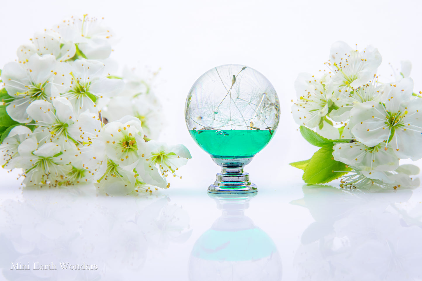 Turquoise Dandelion Resin Cabinet Knob – Botanical Drawer Handle (Chrome or Golden Brass Base)