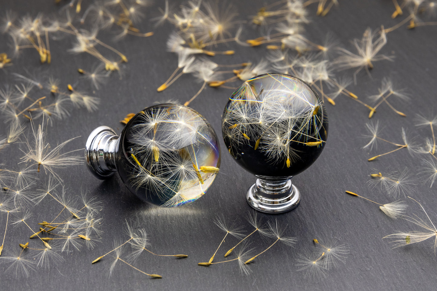 Black Dandelion Resin Cabinet Knob – Botanical Drawer Handle (Chrome or Golden/Brass Base)