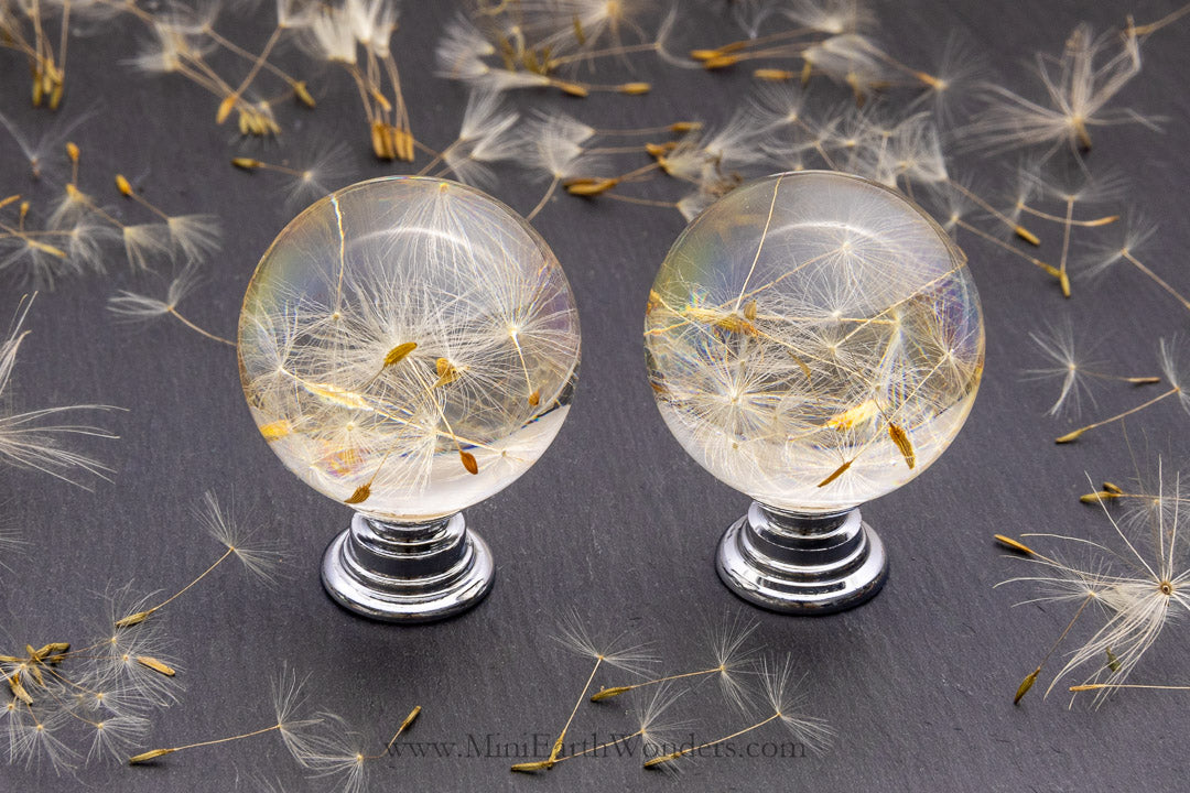 Dandelion resin cabinet knob with chrome base