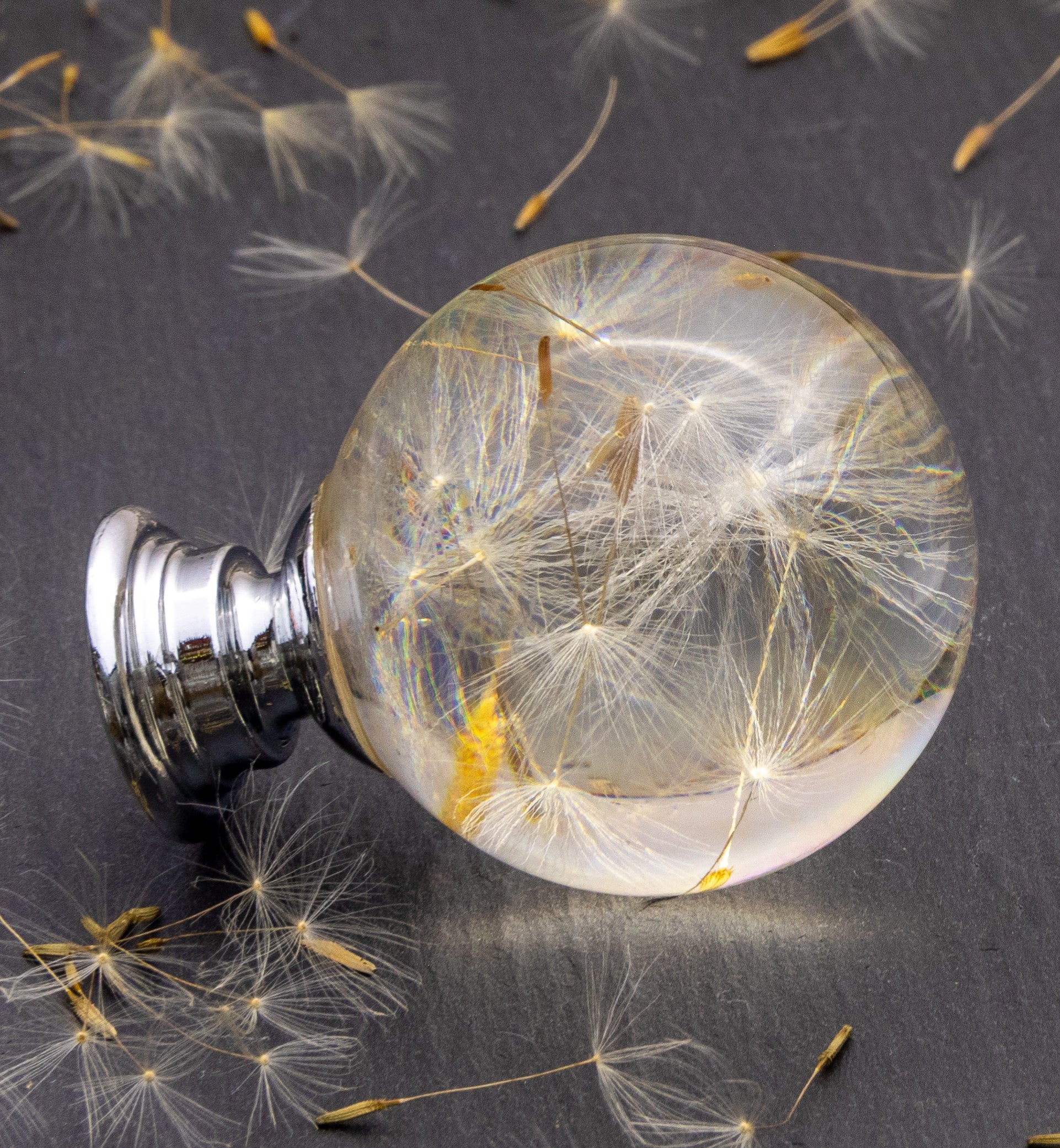 Light knob with dandelion seeds on a dark surface