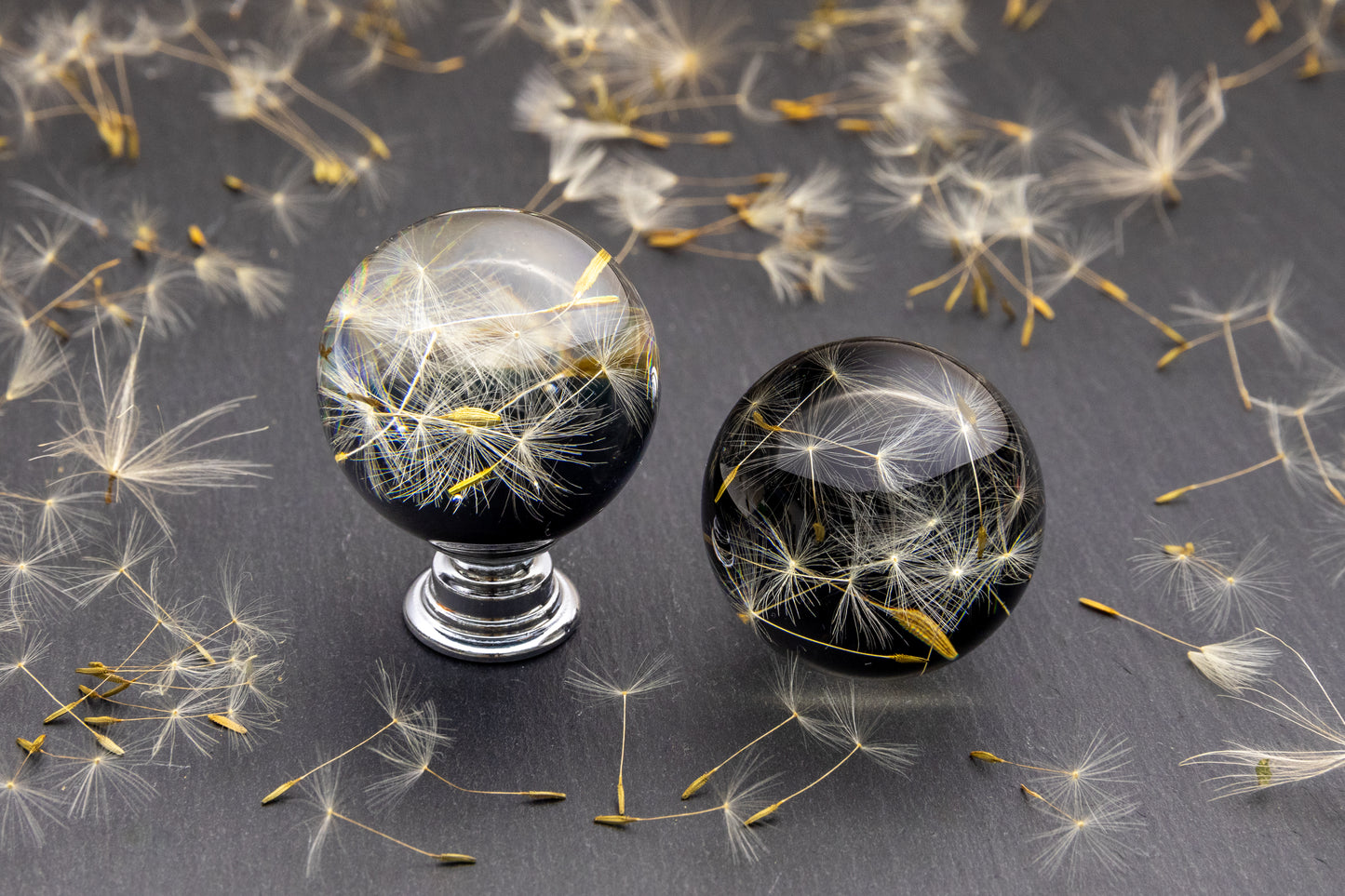 Handmade black dandelion resin cabinet knob with real flower seeds and chrome or brass base