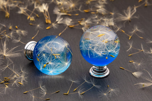 Handmade blue dandelion resin cabinet knob with real flower seeds and chrome or brass base