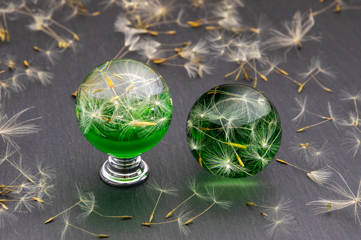 Green resin cabinet knob with real dandelion seeds inside epoxy – handmade botanical nature drawer knob