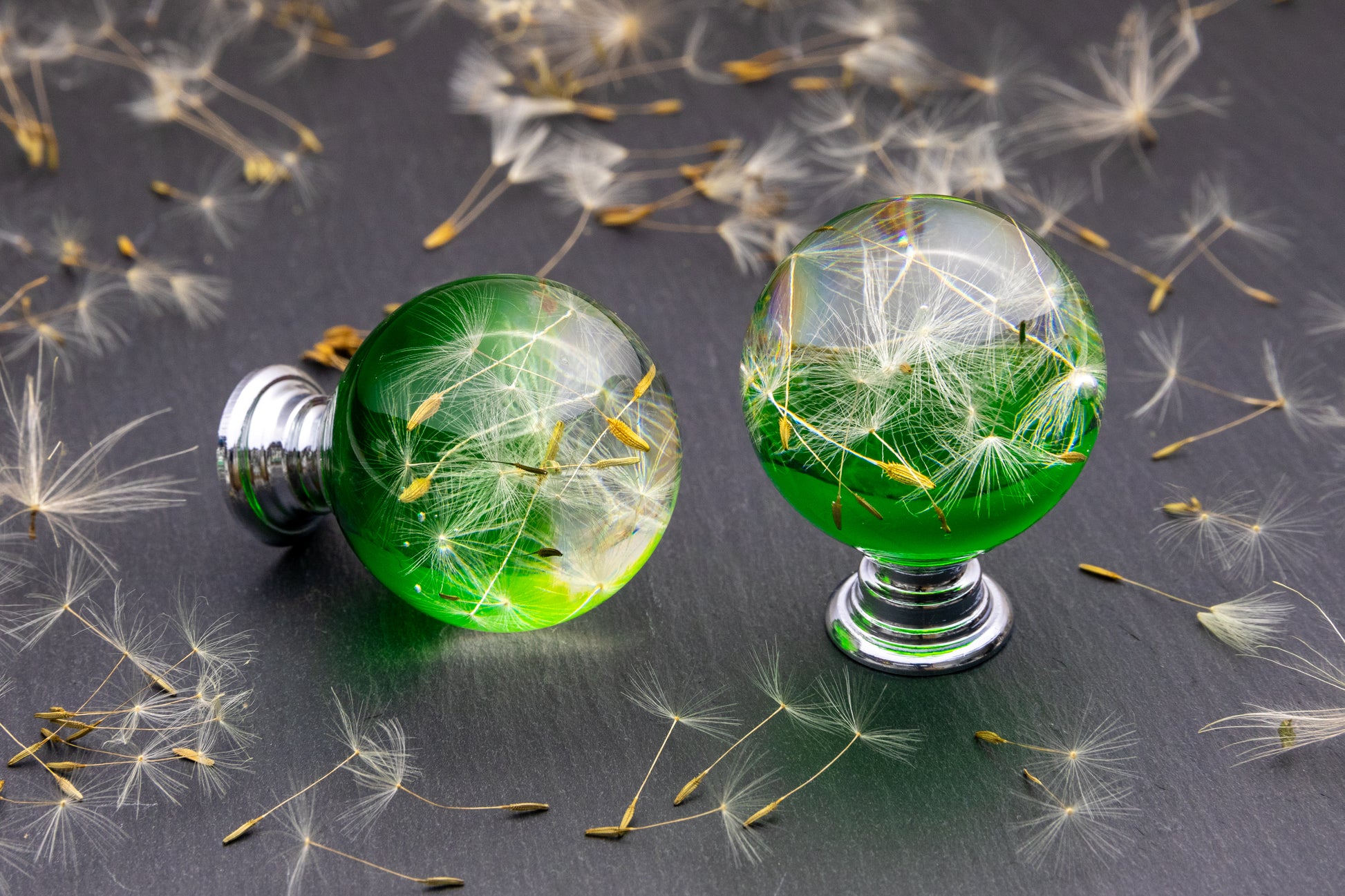 Handmade green resin cabinet knob with real dandelion seeds inside epoxy botanical drawer handle