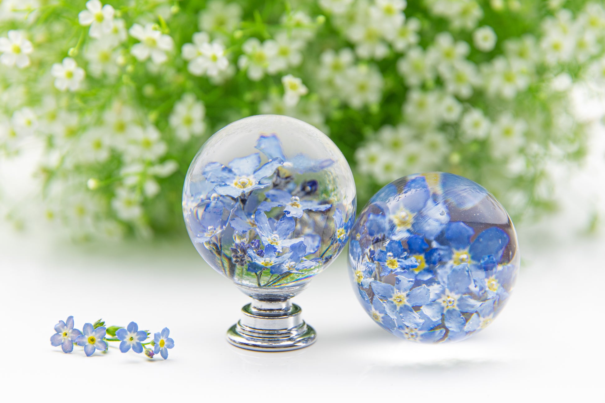 botanical resin furniture knob blue flowers chrome base