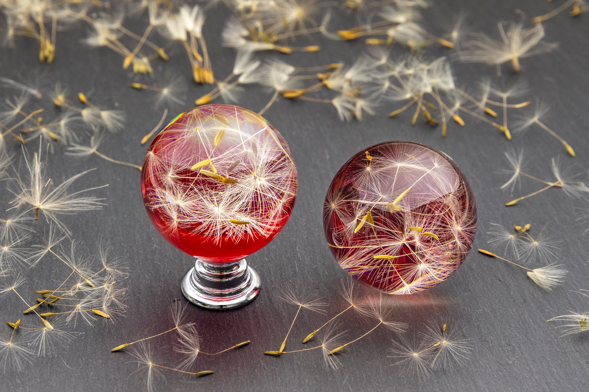 Handmade red dandelion resin cabinet knob with real flower seeds and chrome or brass base