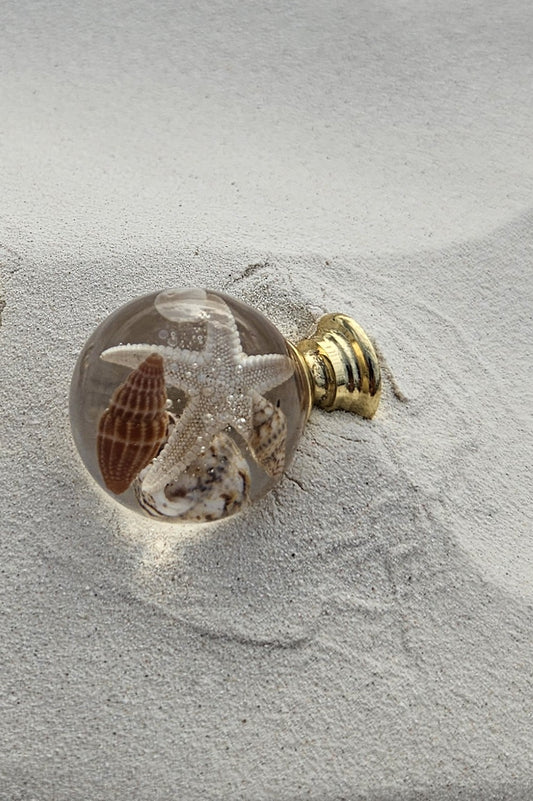 Handmade seashell resin cabinet knob with real starfish, natural shells and gold metal base