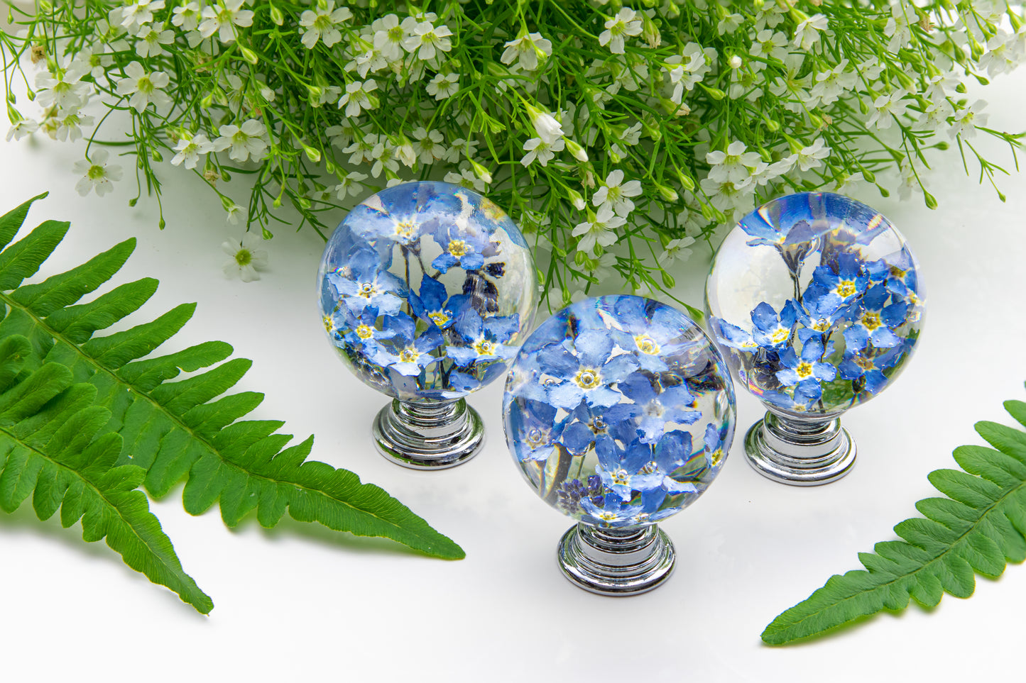 real flower drawer pull forget me not