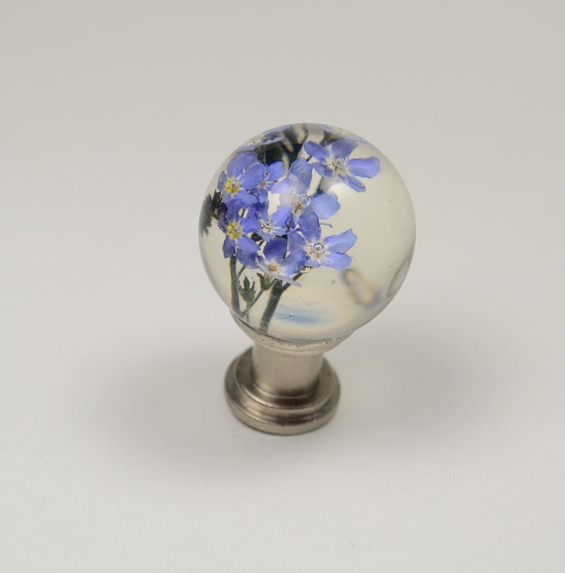 Cabinet Knobs , Forget me not Real flower , Kitchen Cupboard Handles , Dresser Knobs , Knobs for Cabinets
