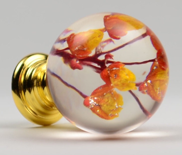 Dresser knobs with orange and yellow real flower. Resin Furniture Knobs.Door knobs