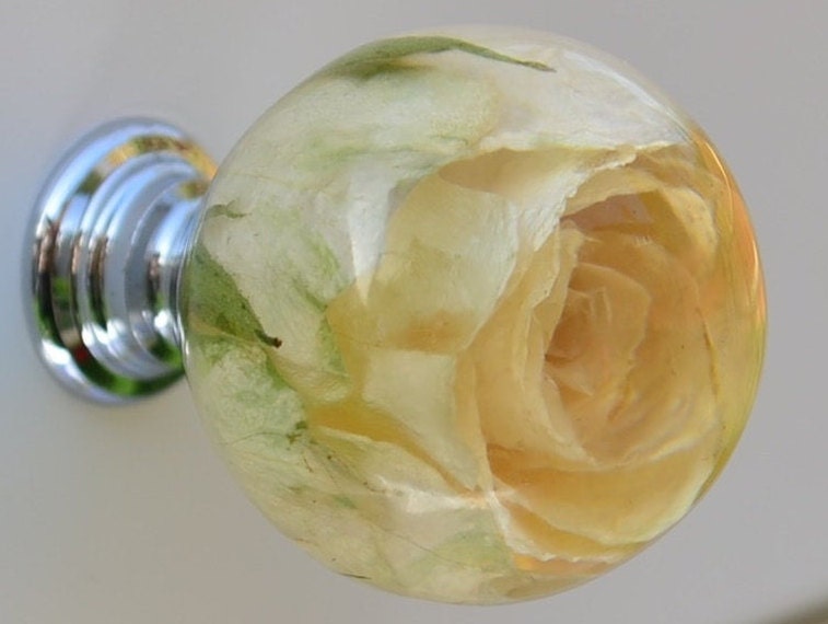 Creamy Real Rose Drawer Knobs Kitchen Cupboard knob Furniture door knob Unique door pulls Handmade cabinet door knob