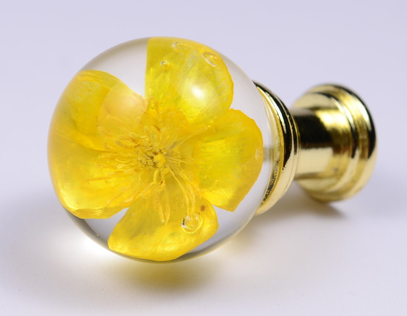 Buttercup Real flower in Resin Furniture Knobs Drawer knobs Cabinet Pull sphere size 30mm