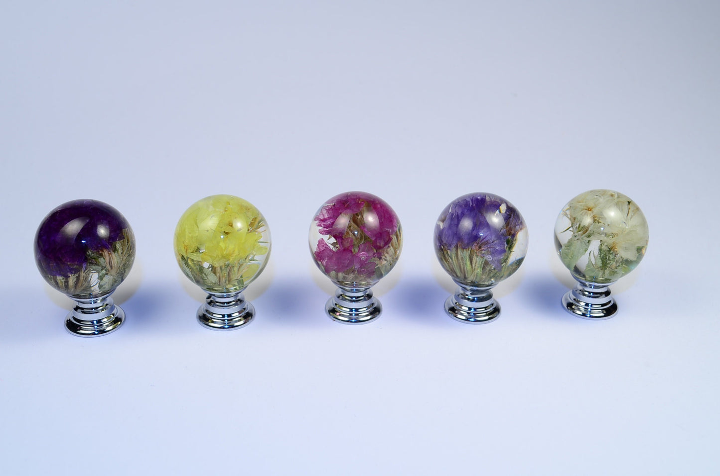 Set of 5 Real Flowers Resin Knobs  Unique Gift