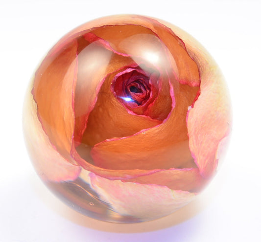 Real Tea Rose Resin Drawer Knobs Kitchen Cupboard Knob Handmade Cabinet Door Knob Furniture Door Knob Unique Door Pulls