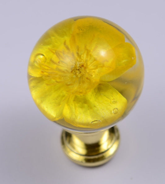 Buttercup Real flower in Resin Furniture Knobs Drawer knobs Cabinet Pull sphere size 30mm