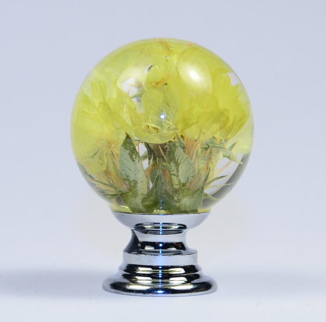 Set of 5 Real Flowers Resin Knobs  Unique Gift