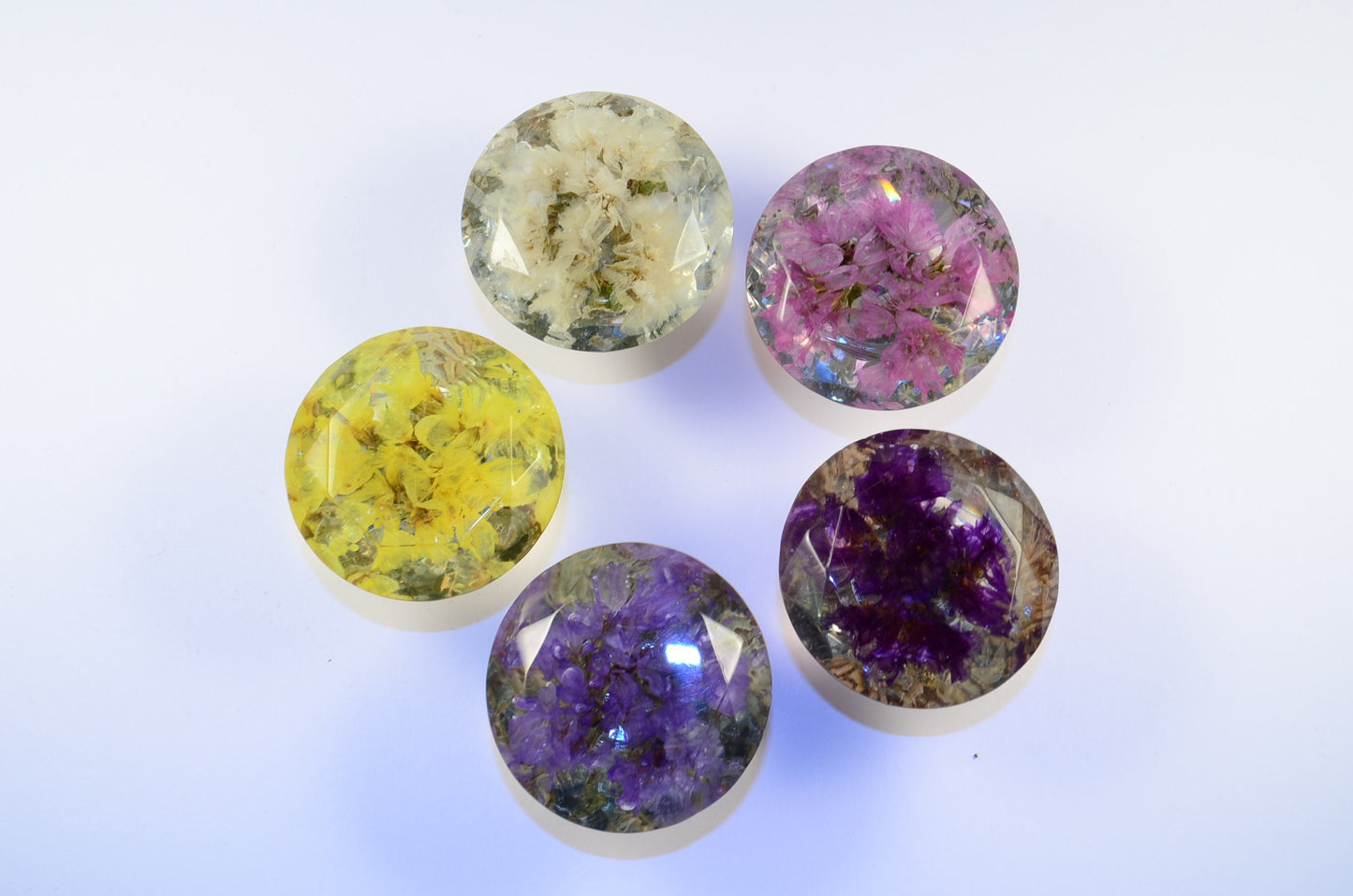 Gift Set of 5 Real Flower Resin Drawer Knobs, Drawer Pulls,  Home Decor ,  personalized gifts for mom
