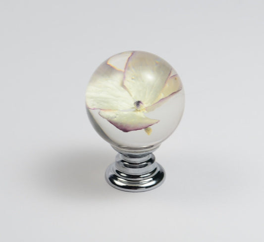 Creamy  Hydrangea Real Flower Resin Cabinet Knobs , Drawer Knobs , Gifts for Her , Door knobs