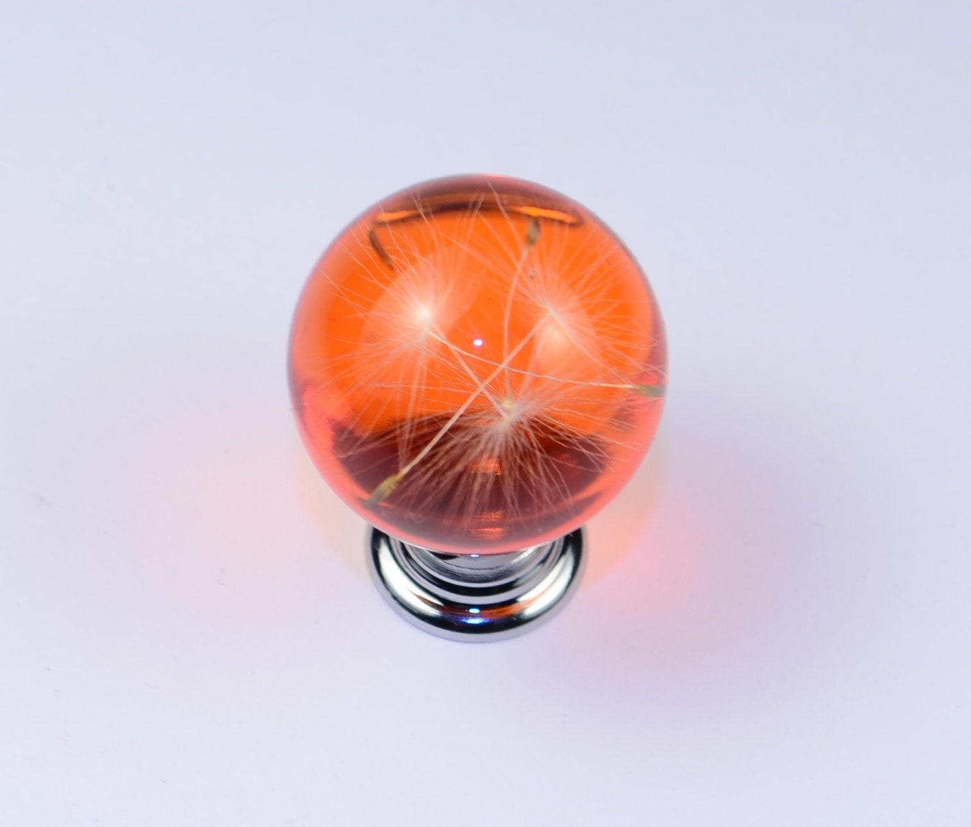 Real Dandelion Seeds Drawer Dresser Furniture Orange Knobs Handmade Gift Knobs