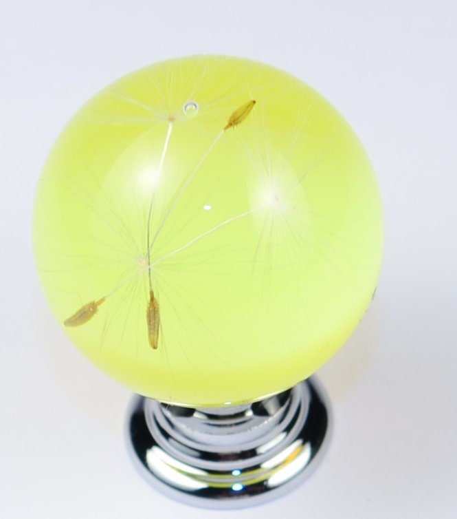 Real Dandelion Seeds Drawer Dresser Furniture Yellow Knobs Handmade Gift Knobs