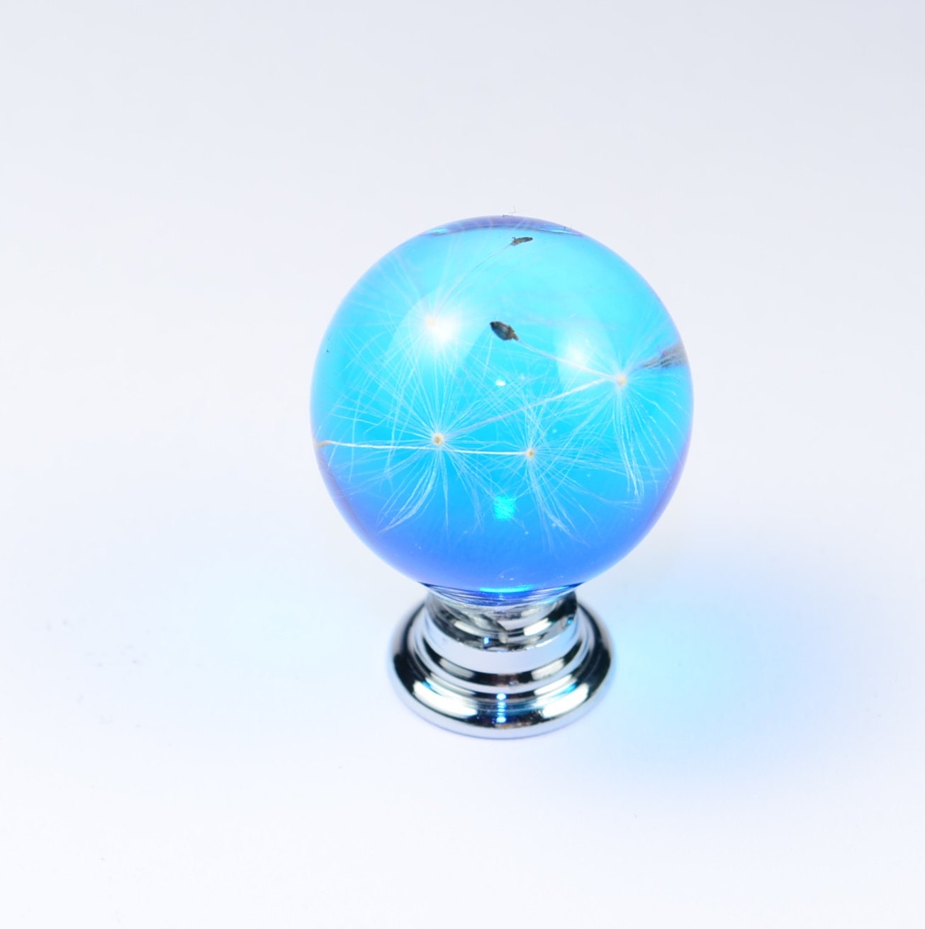 Sky Blue Real Dandelion Seeds Drawer Dresser Furniture Sky blue Knobs Handmade Gift Knobs