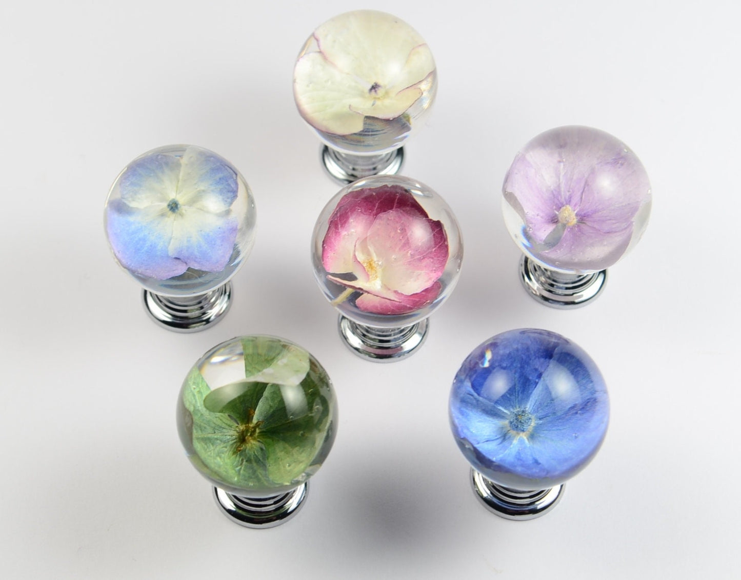 Personalized gifts Set of 6 Real Hydrangea Flowers Resin Knobs  Unique Gift for her drawer knobs home decor