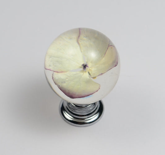 Creamy  Hydrangea Real Flower Resin Cabinet Knobs , Drawer Knobs , Gifts for Her , Door knobs
