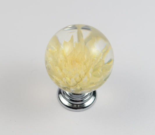 White/Creamy Gomphrena Real flower Resin Furniture Knobs