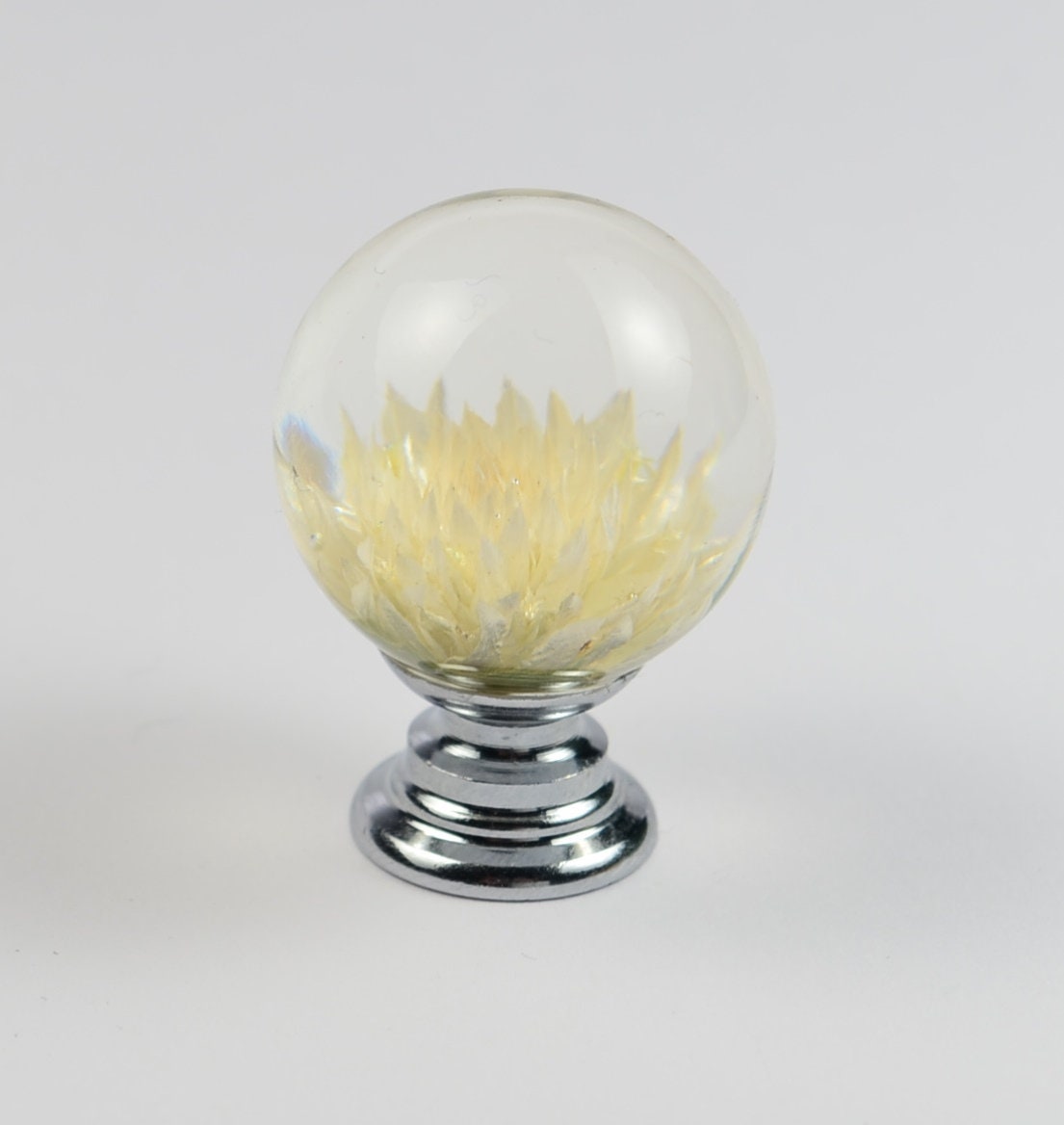 White/Creamy Gomphrena Real flower Resin Furniture Knobs