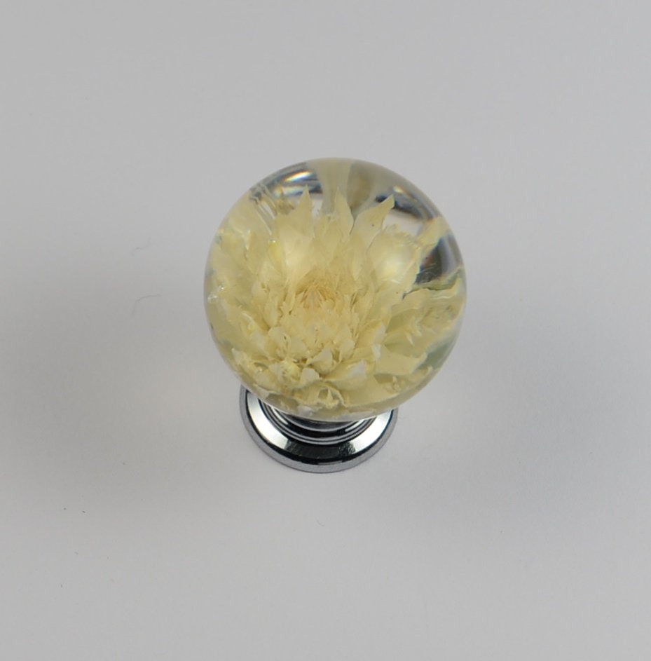 White/Creamy Gomphrena Real flower Resin Furniture Knobs