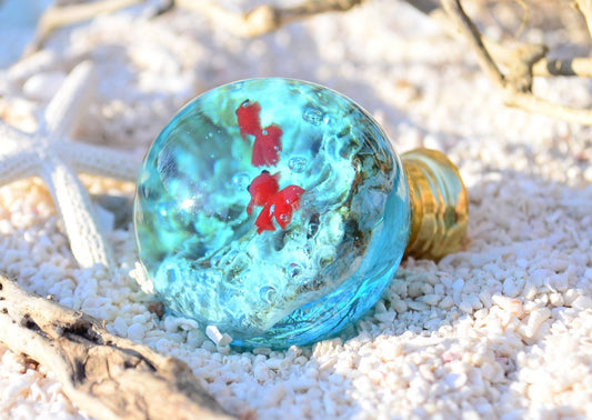 Ocean Marine Style Fish knob, Sea life knobs, Gift for him, Bathroom drawer knobs, Valentine gift for him