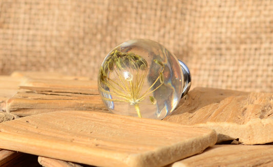 Herb Dill Seeds Kitchen Knobs, Kitchen drawer pulls, Kitchen cabinet knobs